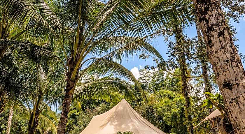 Canvas & Orchids Retreat