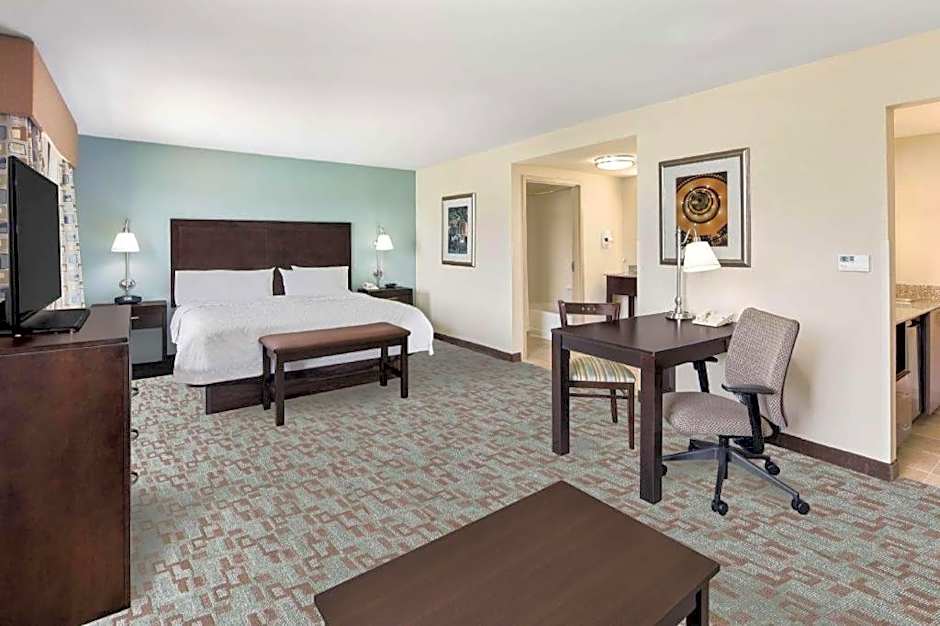 Hampton Inn By Hilton And Suites Savannah-Airport