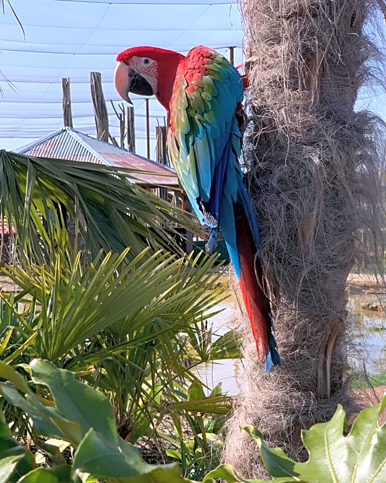 Parrot World - Les Lodges