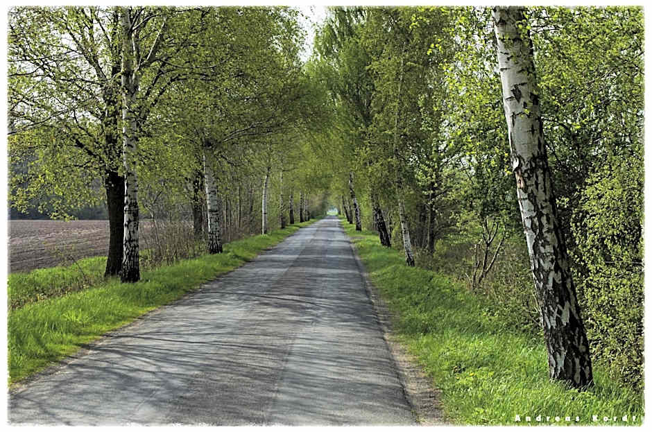 Hotel Gasthof Zur Post