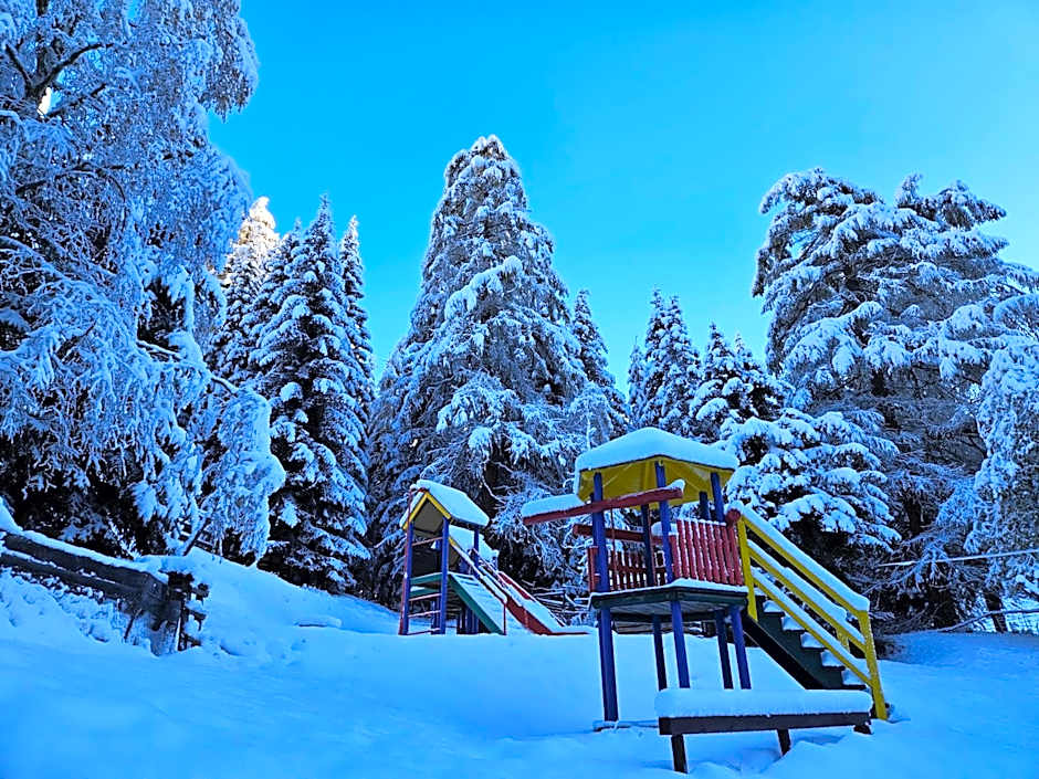 Kinder- und Familienhotel Nockalm