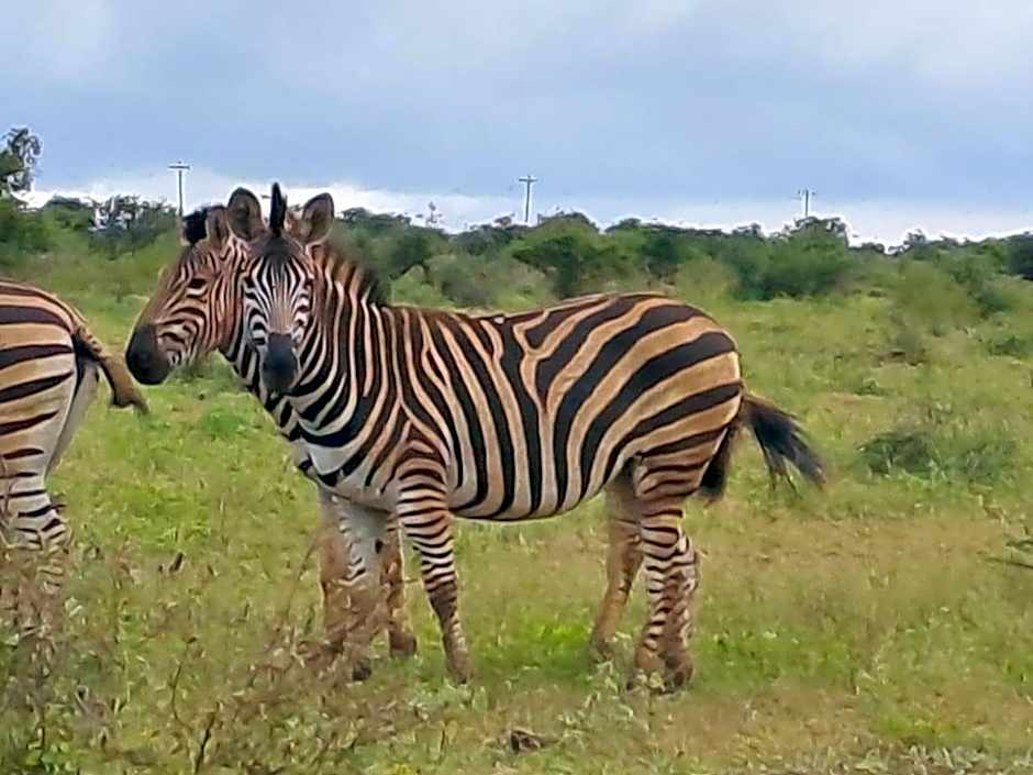 Khululeka Safaris Lodge