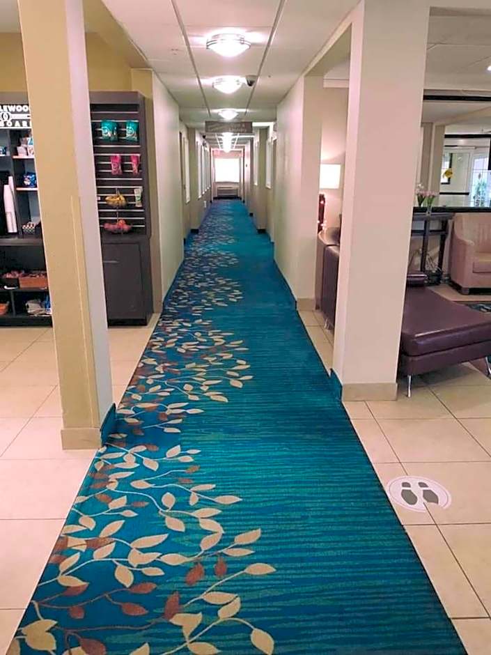 Candlewood Suites Houston Medical Center By IHG