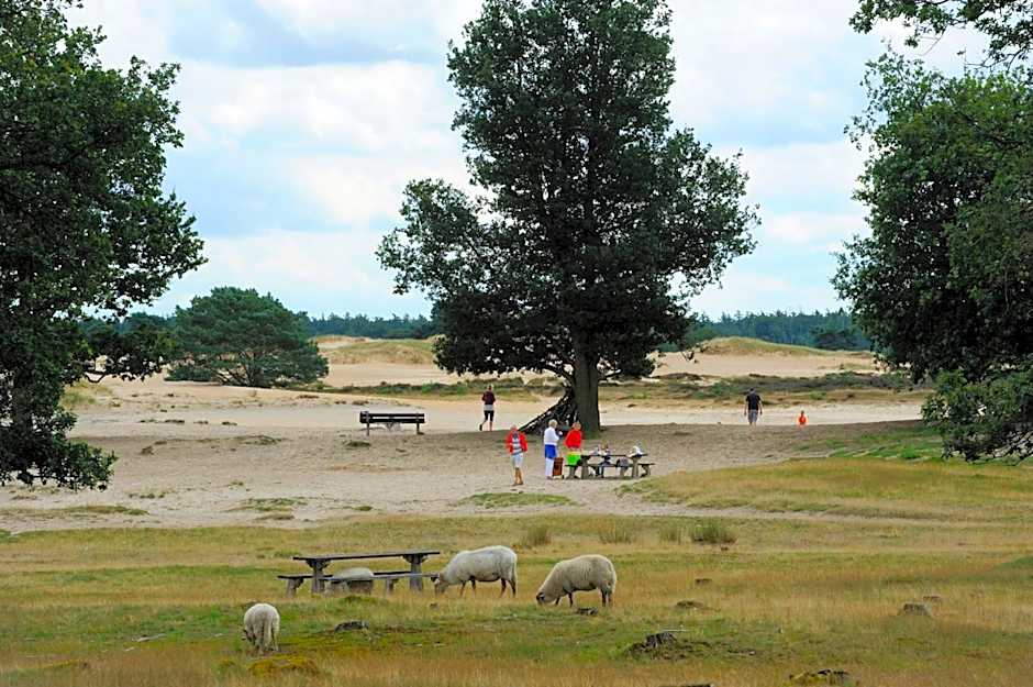 RCN Vakantiepark de Roggeberg