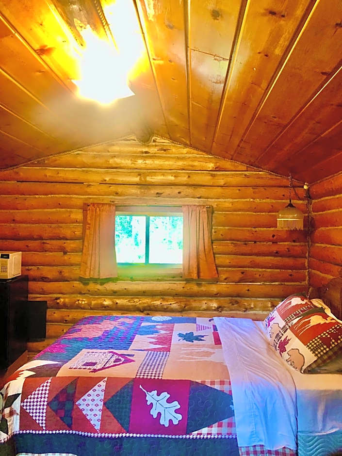 Carlo Creek Cabins