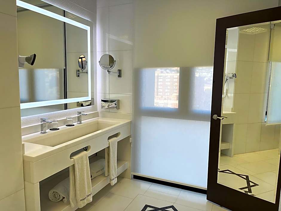 Hotel Saray