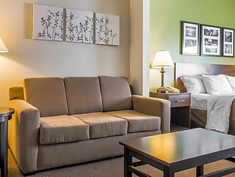 1 Bedroom Suite