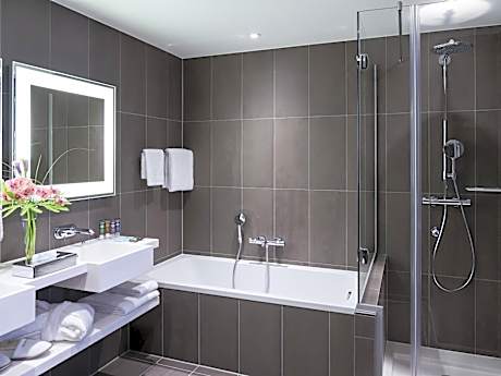 Superior Queen Suite with Sofa Bed