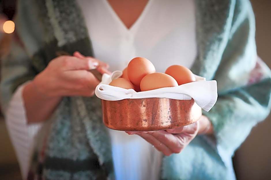 Hotel - Restaurant Soleo