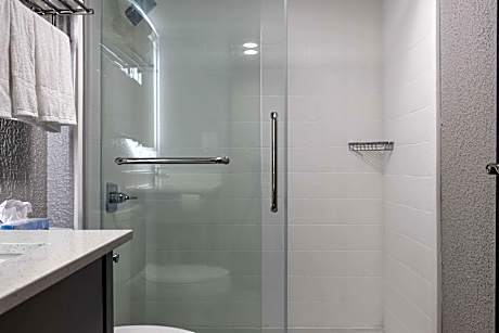 1 King Bed, Suite, Nonsmoking