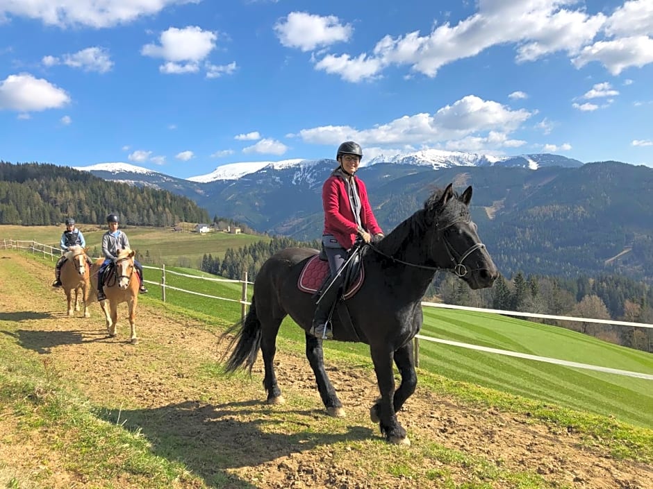 Ferienhaus Lärchenhütte