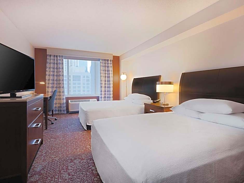 Hilton Garden Inn Chicago Downtown/Magnificent Mile