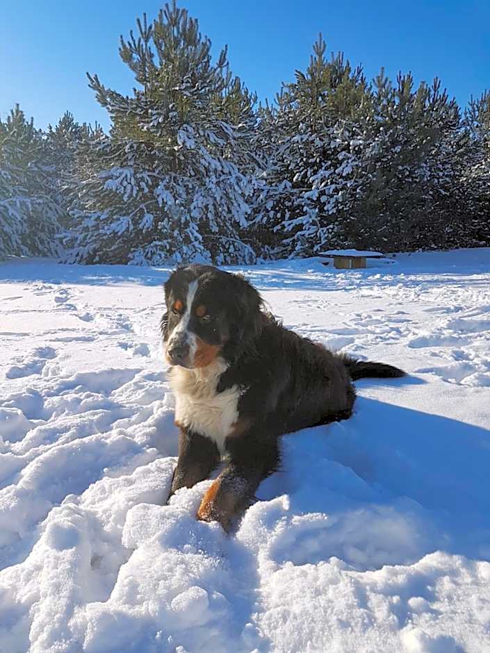 Kompleks Małe Dolomity