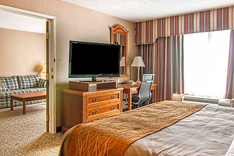 1 King Bed Suite Nonsmoking