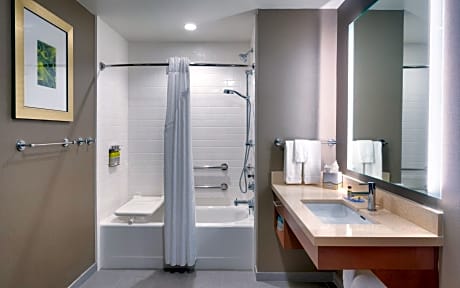 King Studio Suite - Mobility Access Tub/Non-Smoking