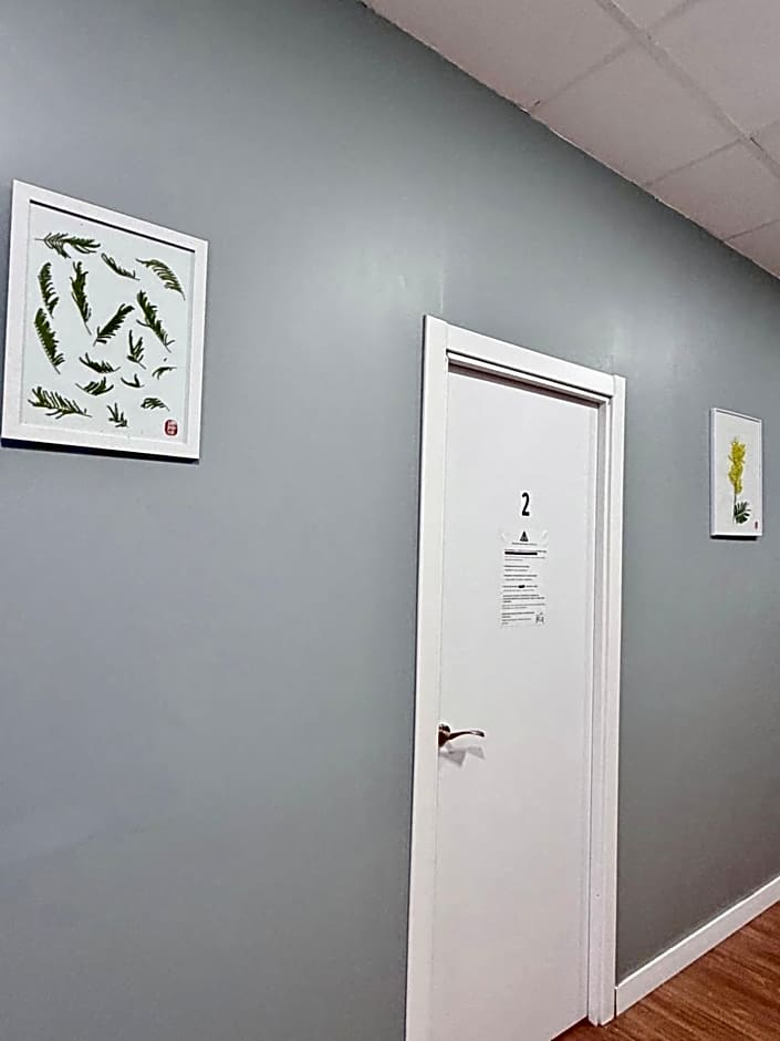 Hostel Acacias