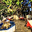 Hotel Dionysis Studios