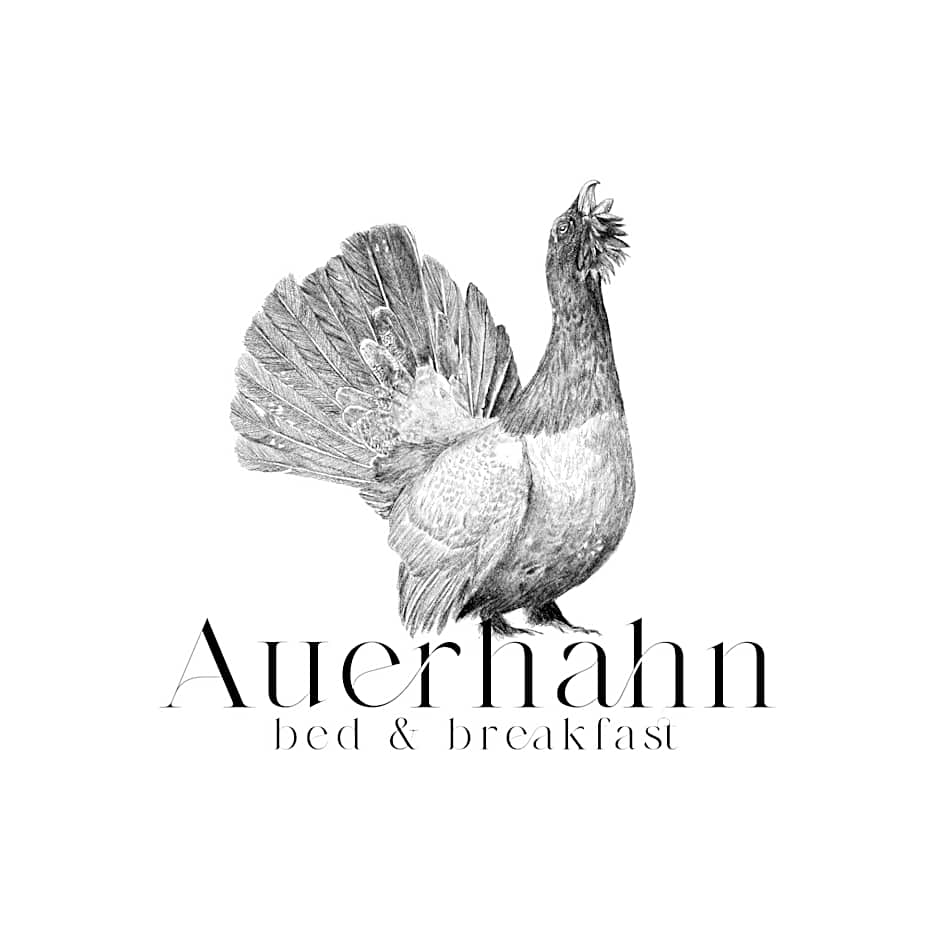 Auerhahn Bed and Breakfast - Black Forest - Waldhotel