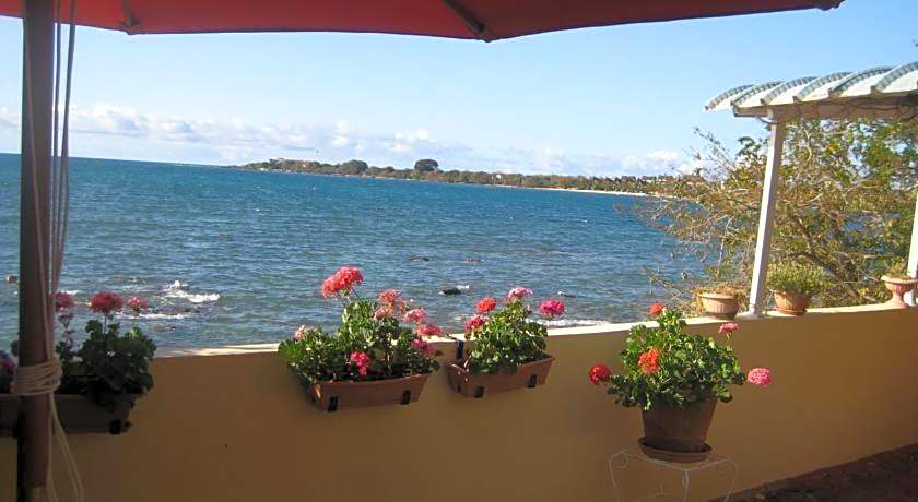 Le Cactus Guest House