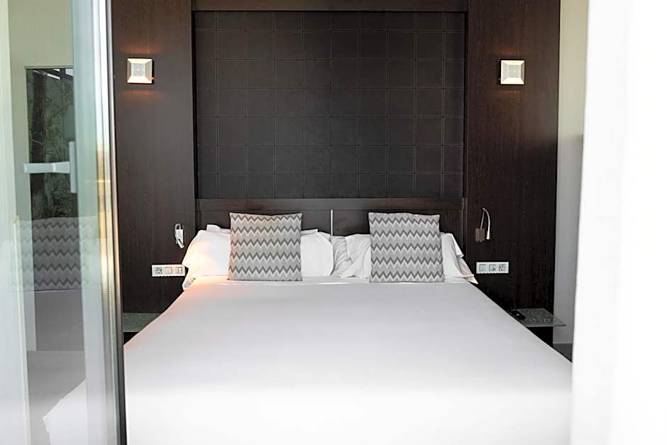 Petit Palace President Castellana