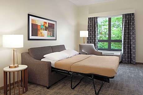King Studio Suite - Hearing Access/Non-Smoking