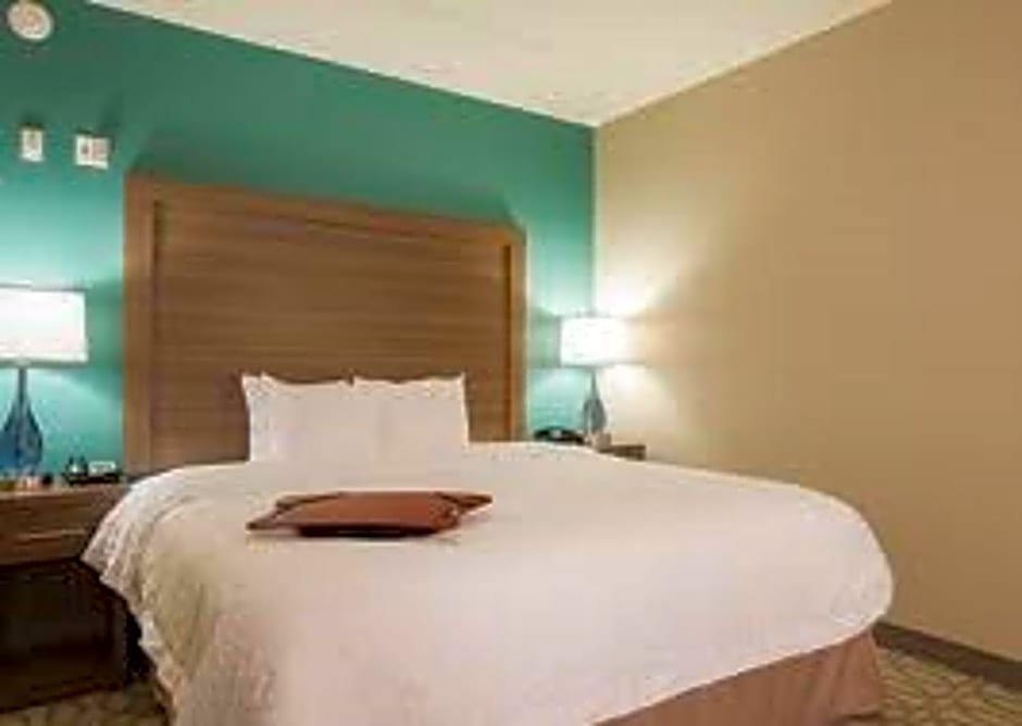 Hampton Inn Greenville/I-385 Haywood Mall, SC
