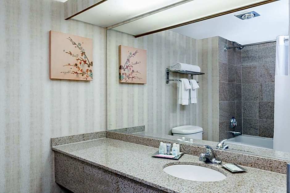 Wyndham Indianapolis Airport