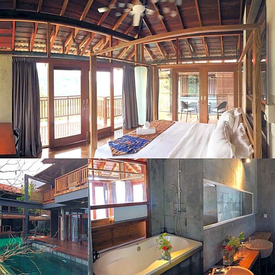 The Shorea