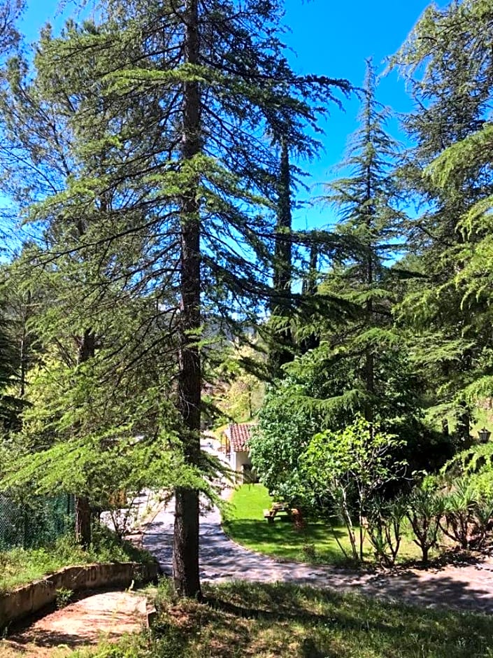 Els Avets de la Muga