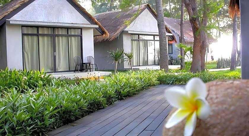 Hansar Casuarina Cha am