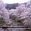 Kadonobo Ryokan