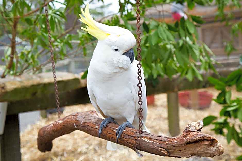 Seven Mile Beach Holiday Park