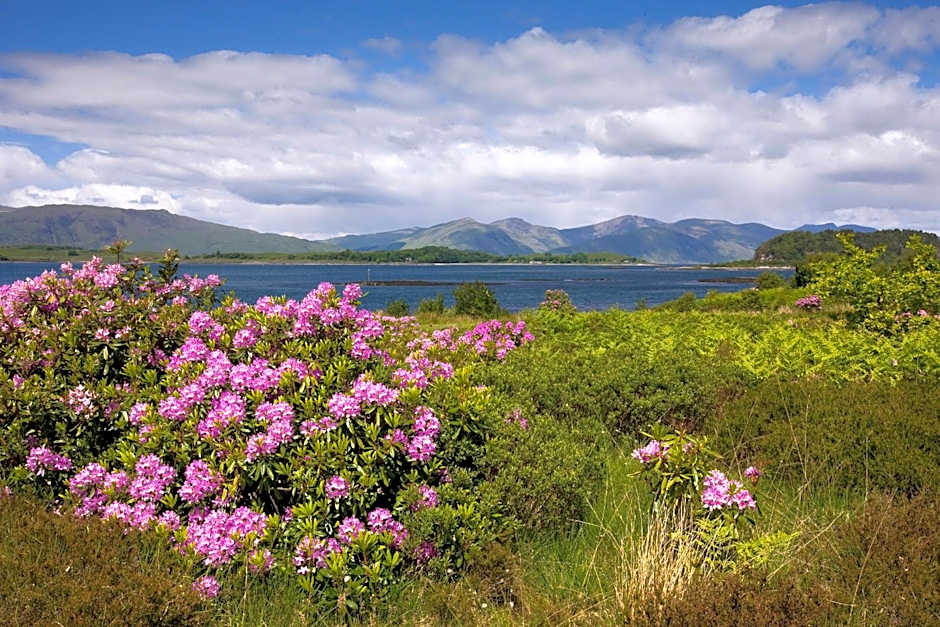 Isle of Eriska Hotel Spa & Island