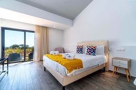 Deluxe Double Room with Terrace