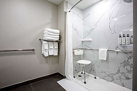 1 Queen Bed Mobility Accessible Room Non-Smoking