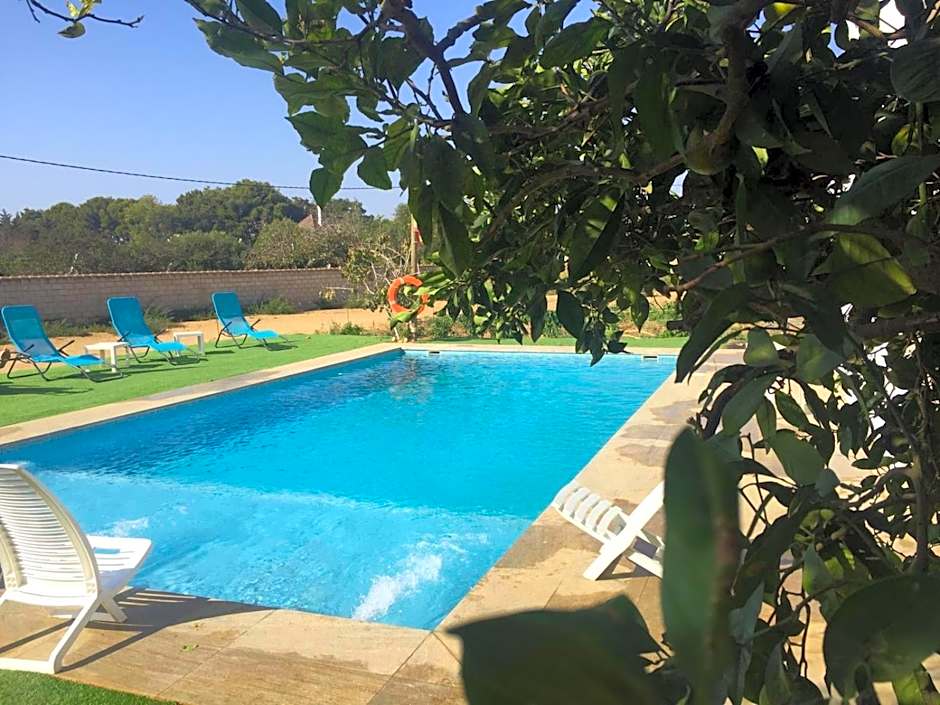 The Farm Tiny House - Tiny Casa