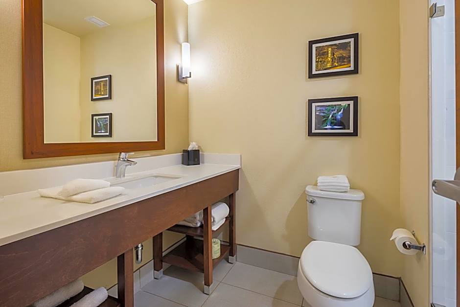 Comfort Suites Piedmont - Greenville South