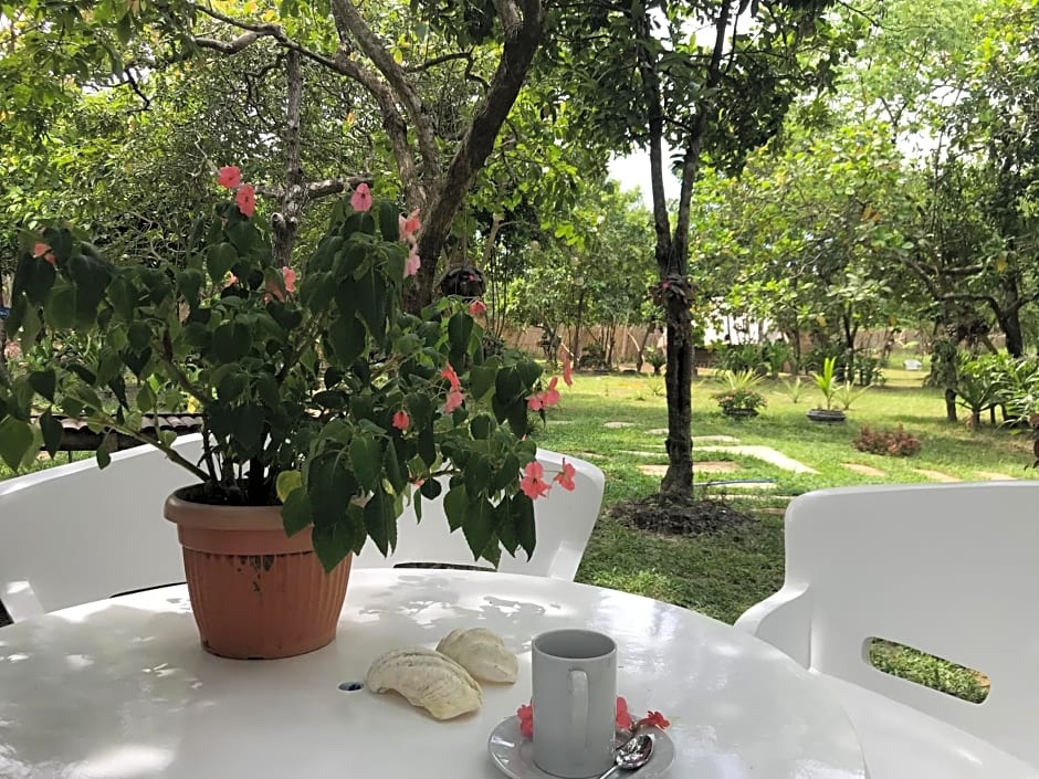 Balili Farm At Nacpan