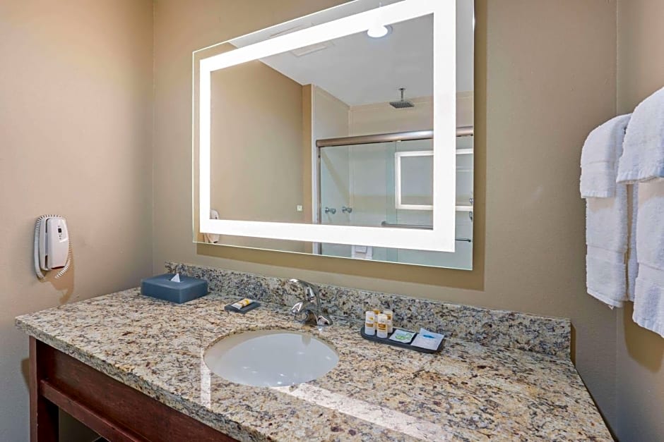 La Quinta Inn & Suites by Wyndham Houston Willowbrook