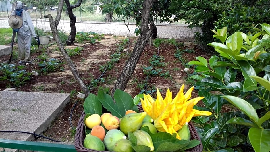 B&B Villa Nonna Maria