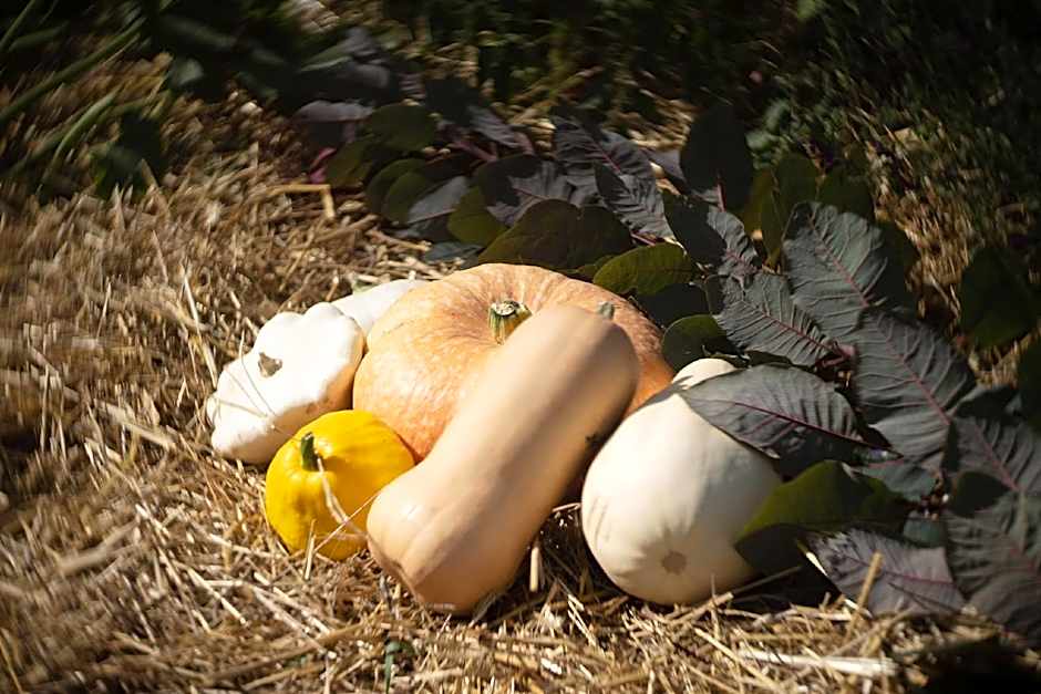 Le jardin des 4 saisons