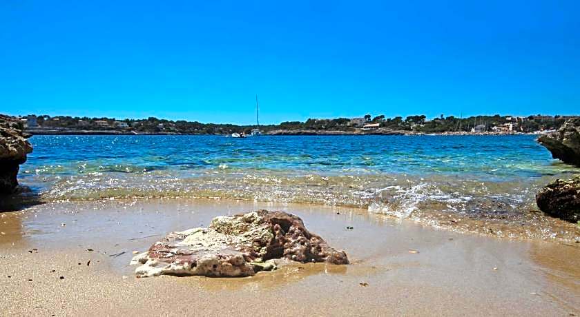 Apartamentos Niu D Aus