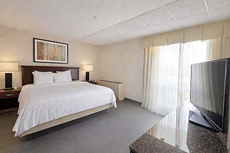 Deluxe King Suite