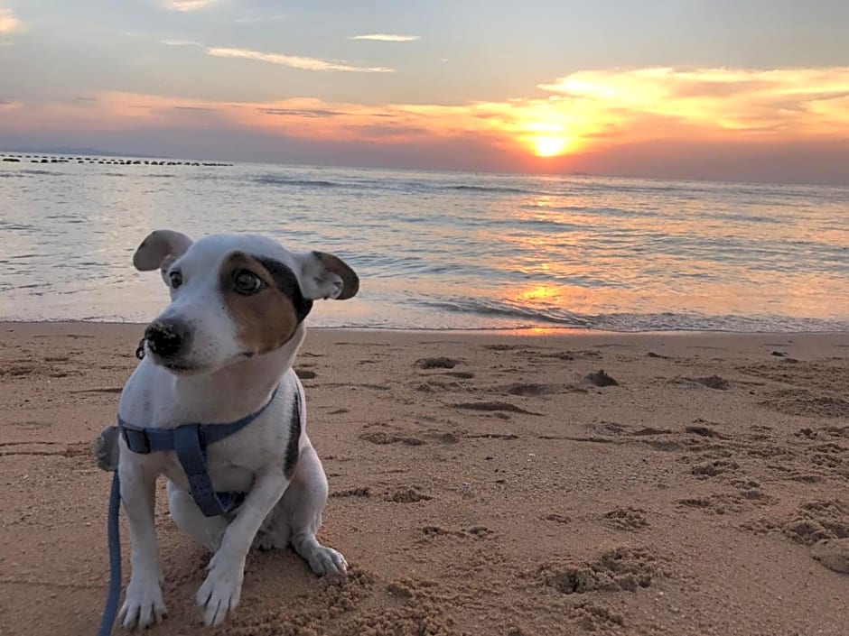 A title Guestel jomtien