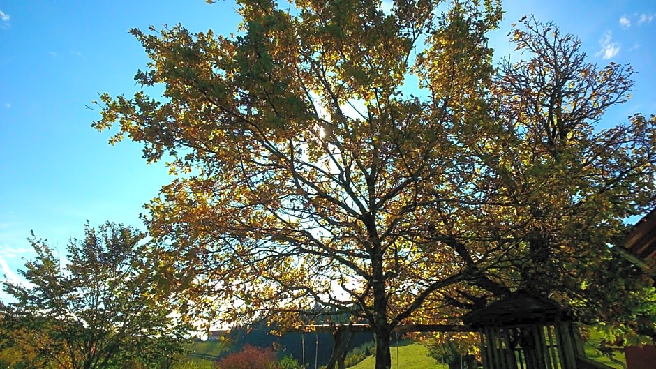 Ötscherblick Fam Winter