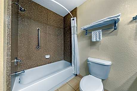 1 KING BED,NSMK,PETFRD,OVRSZD,FULL BREAKFAST