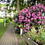 Parkhotel am Taunus