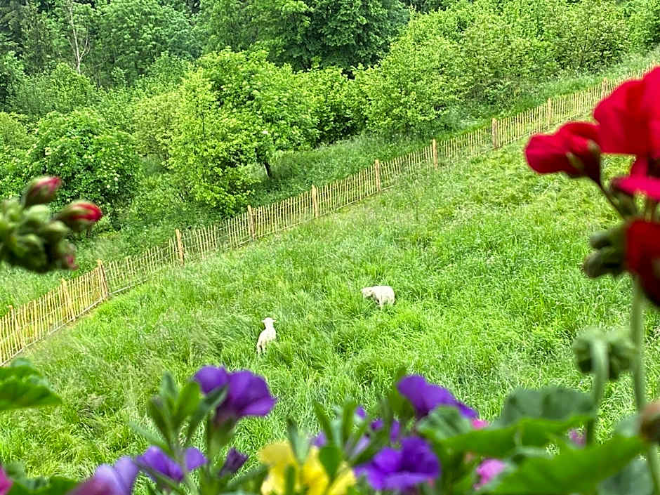 Pension Gasthof Arriach