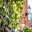 B&b Antico Tralcio