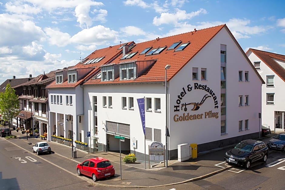 Hotel and Restaurant Goldener Pflug